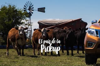 La especialista off road