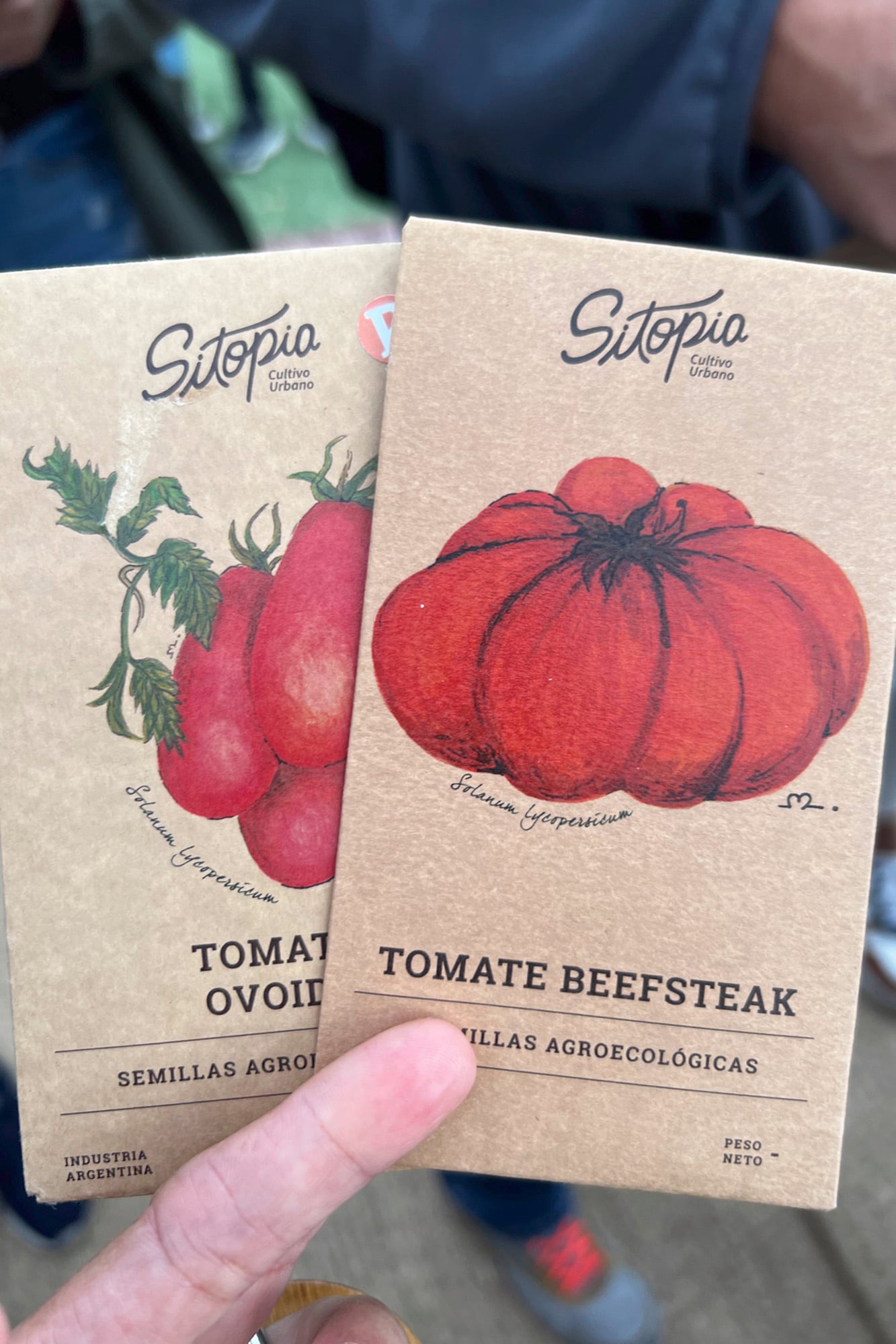 Semillas agroecológicas de diferentes variedades de tomates