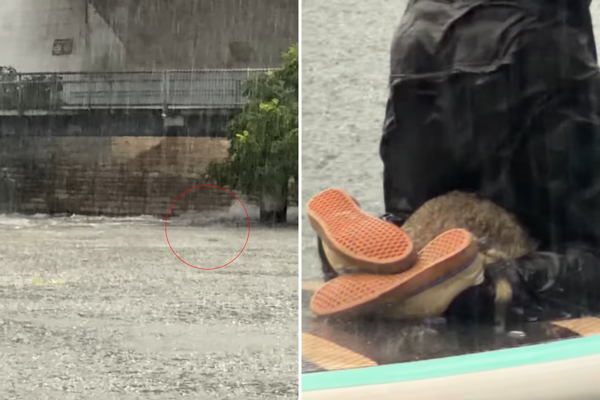 Navegaban en medio de las inundaciones en Texas y creyeron que habían rescatado un perro, pero la realidad los sorprendió