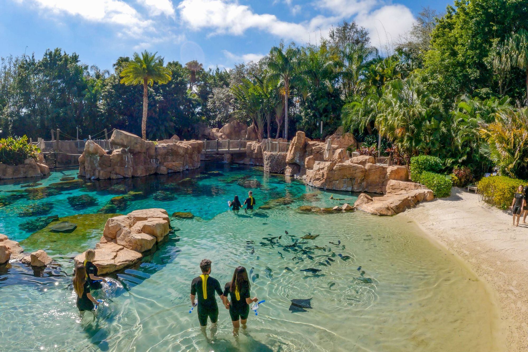 Discovery Cove