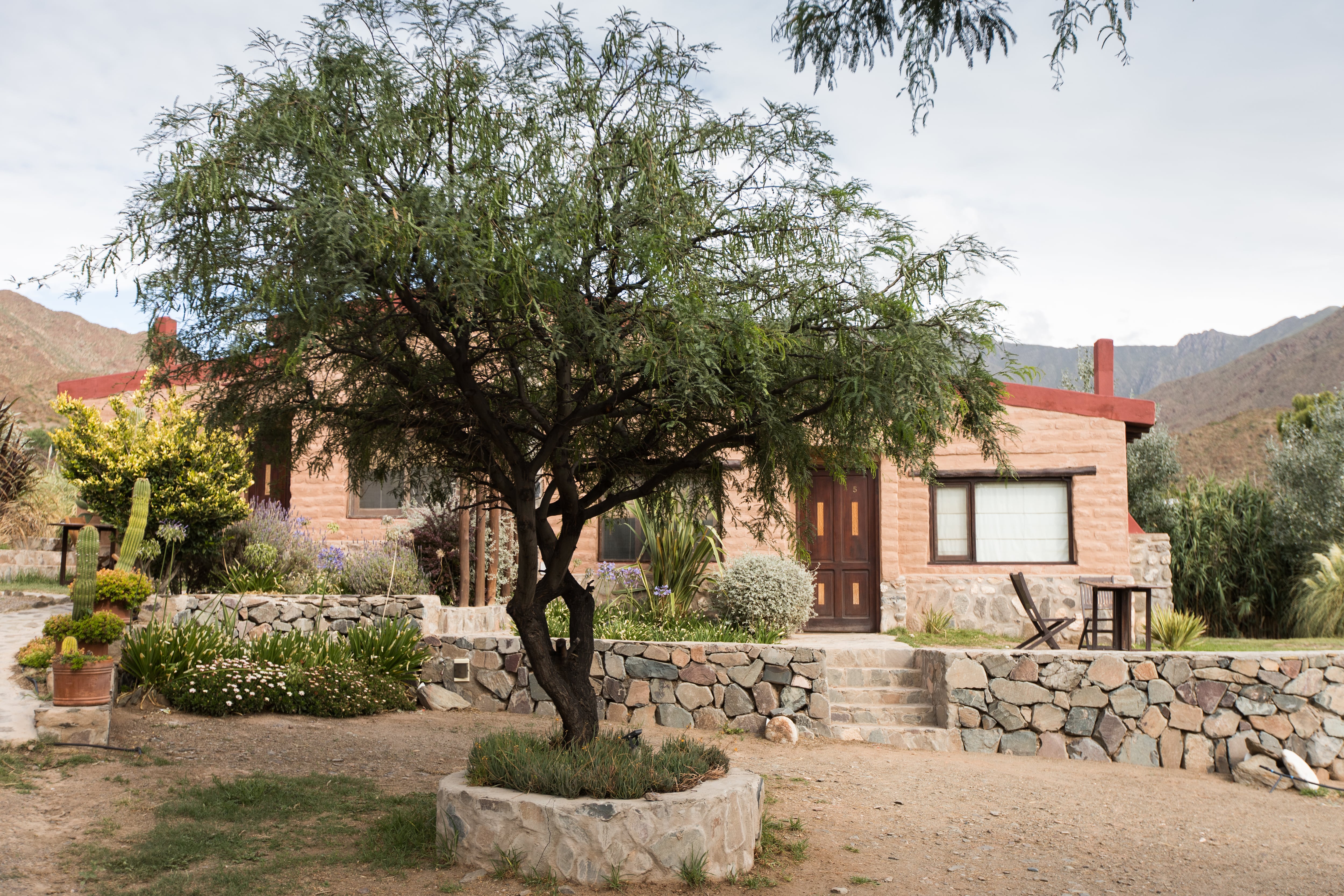 Rodeadas del viñedo propio, las casas de la bodega Miraluna son muy cómodas