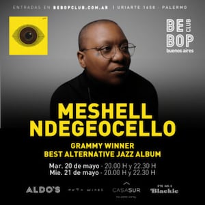 Meshell Ndegeocello