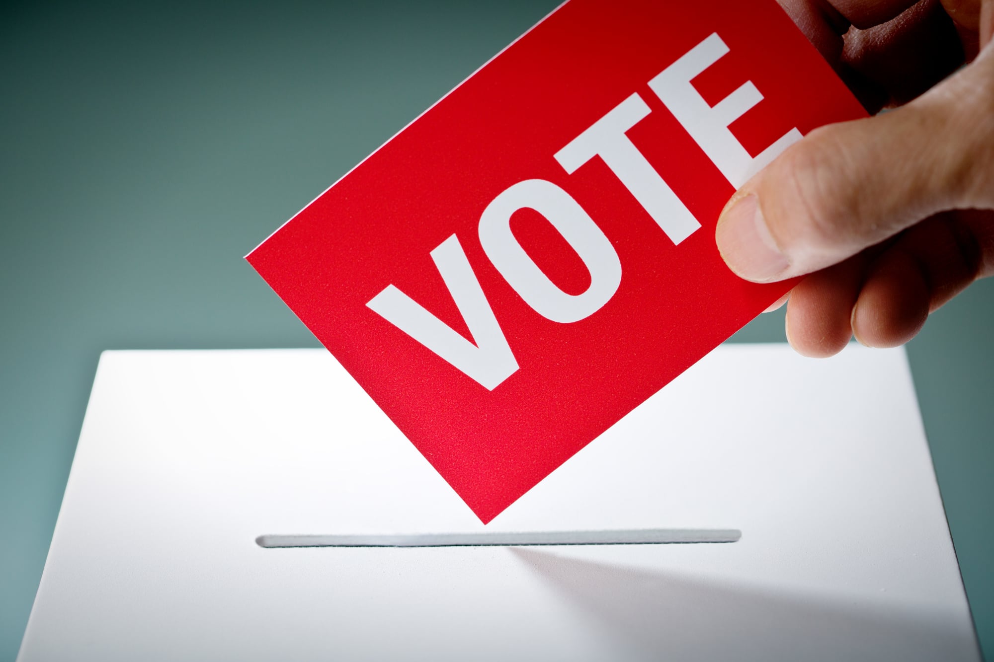 La afiliación partidaria solo es relevante para las elecciones primarias, donde el sistema de