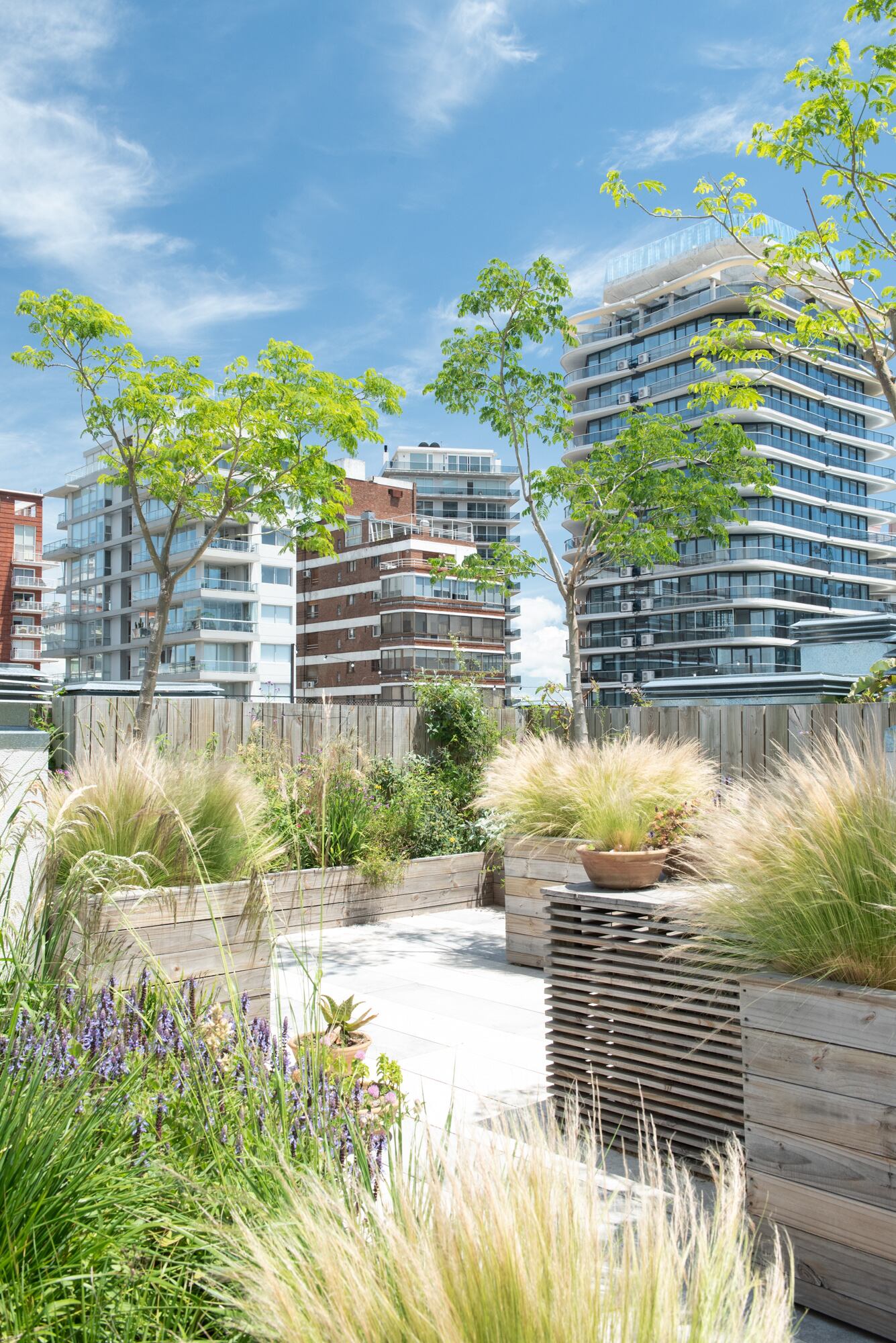 Otra terraza donde dominan las gramíneas y especies resistentes a pleno sol