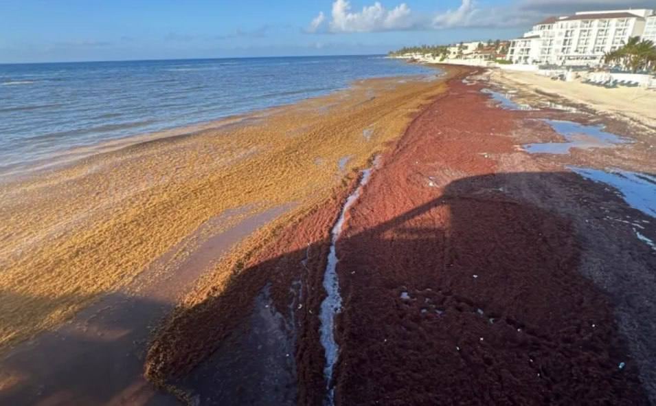 El destino elegido por muchos turistas que está afectado por el sargazo