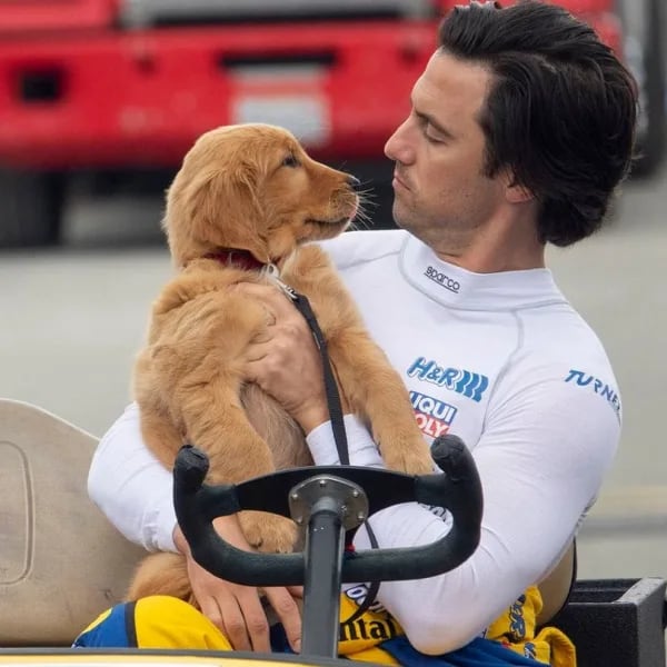Mi amigo Enzo, la historia es la vida de un perro junto a su dueño
