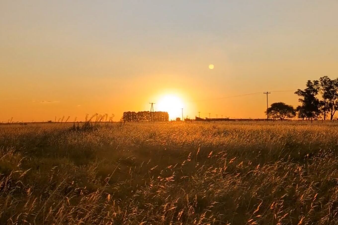 Felipe viene de un pueblo de 5 mil habitantes del norte de Entre Ríos.