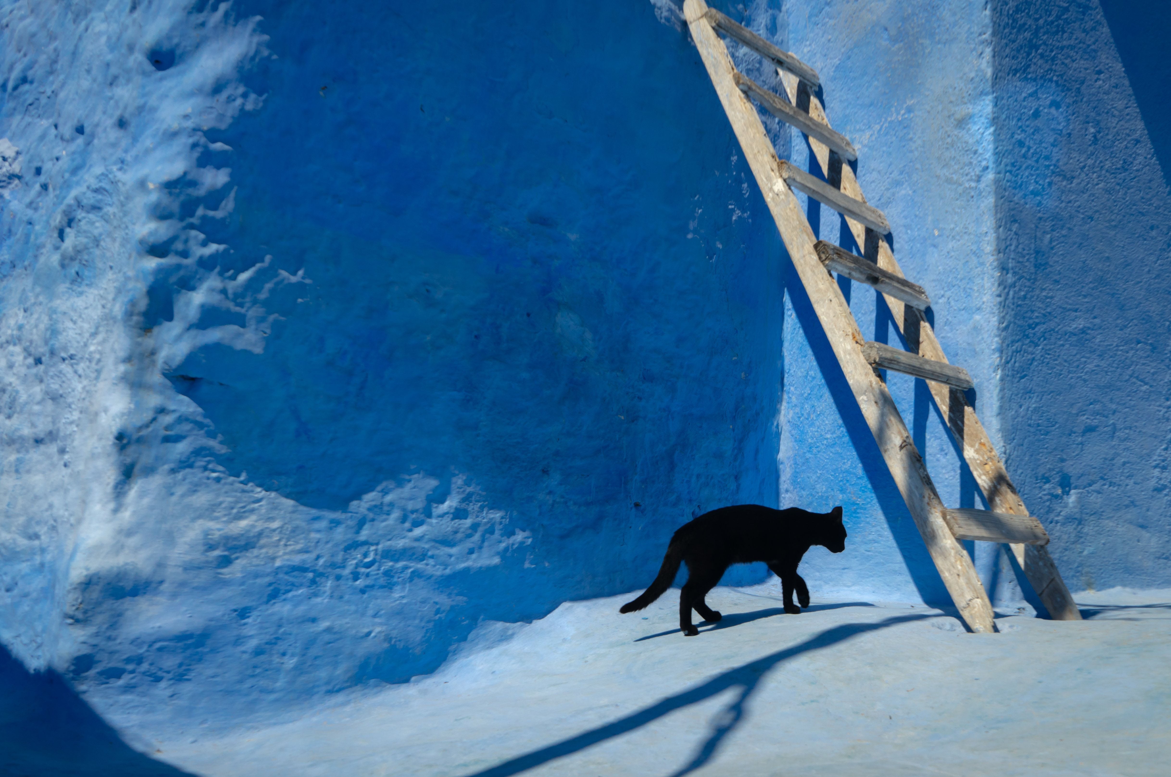 Supersticiones, creencias, costumbres y objetos de la vida cotidiana, explicados en un libro