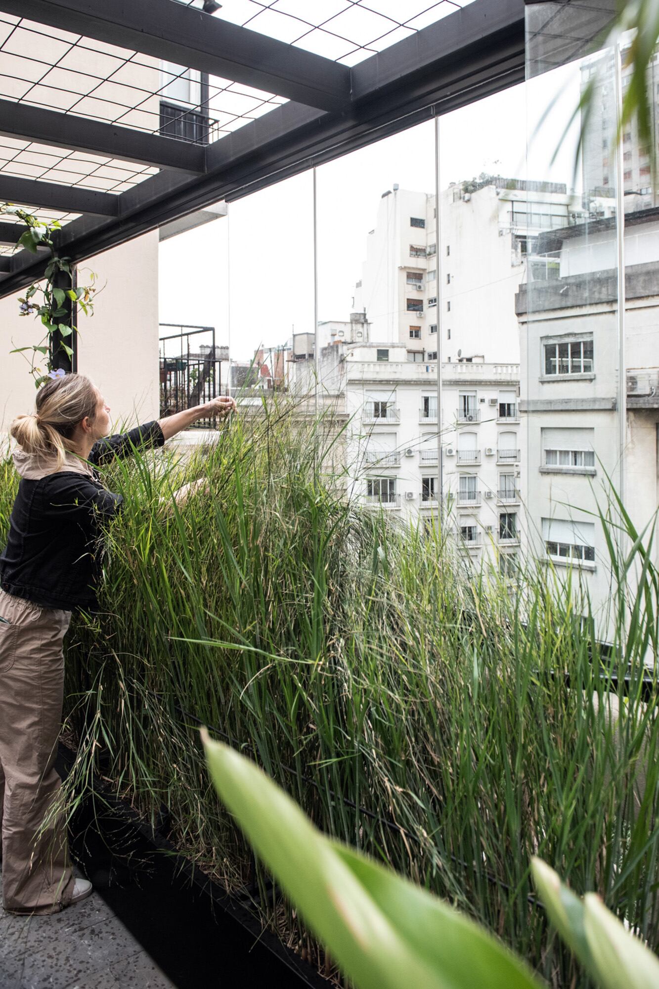 Uno de los frentes se materializó con Panicum antidotale para generar una barrera suelta, con movimiento, que vela la vista de los departamentos vecinos. El cerramiento de vidrio plegable potencia el uso del espacio.