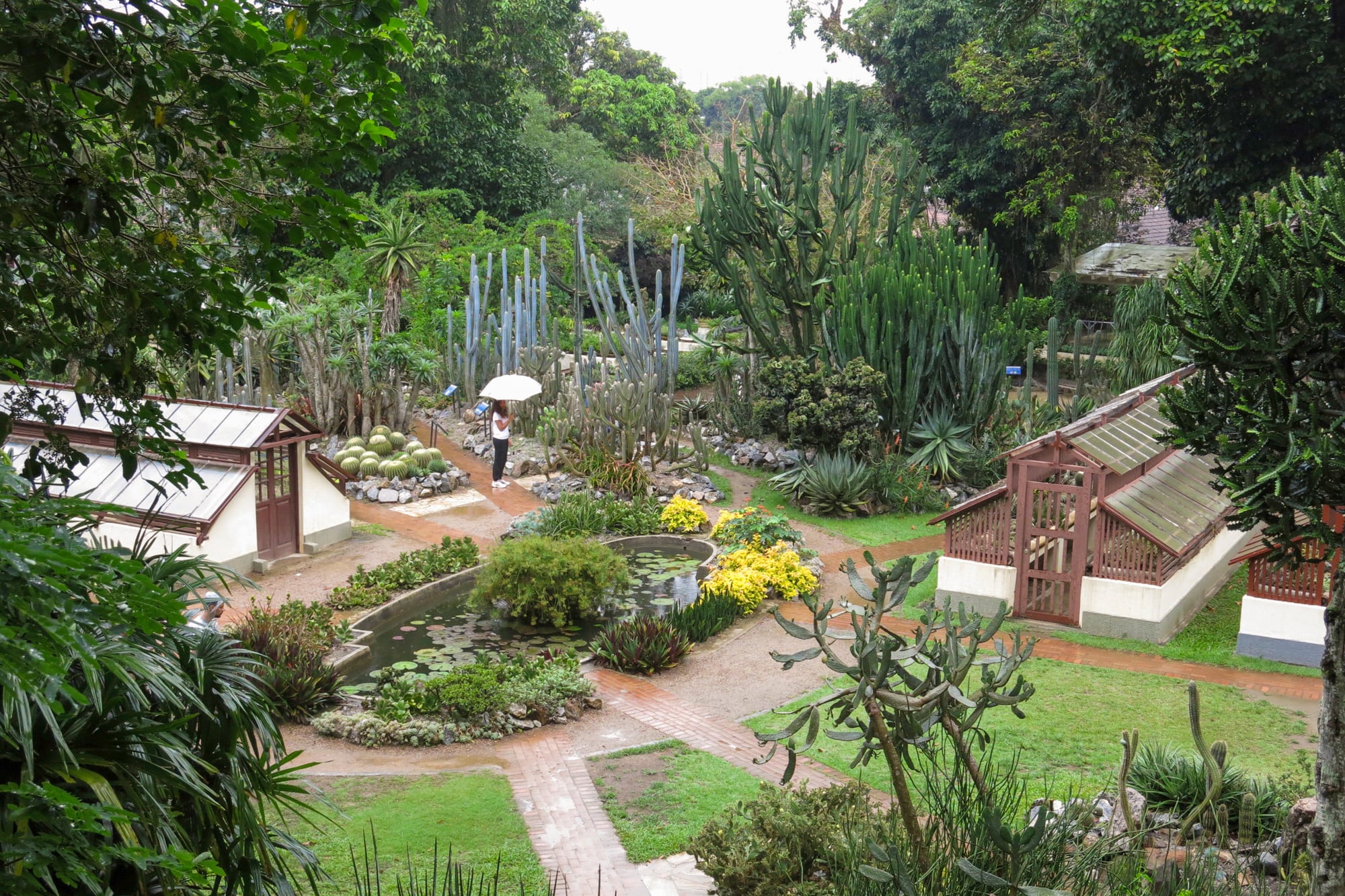 Vista aérea del Jardín Botánico de Río de Janeiro donde se ven invernáculos, colección de cactus y un estanque de vegetación tropical