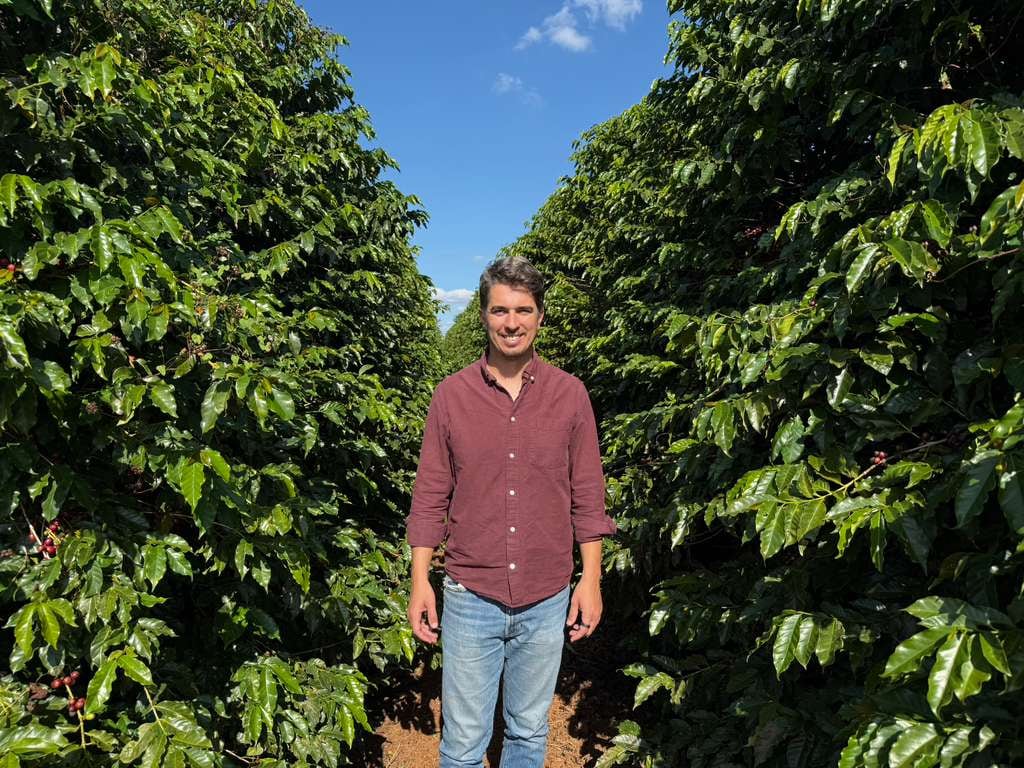 La startup argentina que mejora la productividad agrícola con abejas y sorprendió a Milei