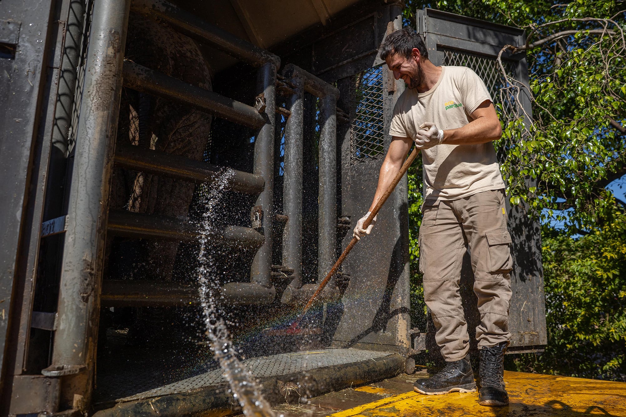 La elefanta Kenya ya está en el santuario de Brasil