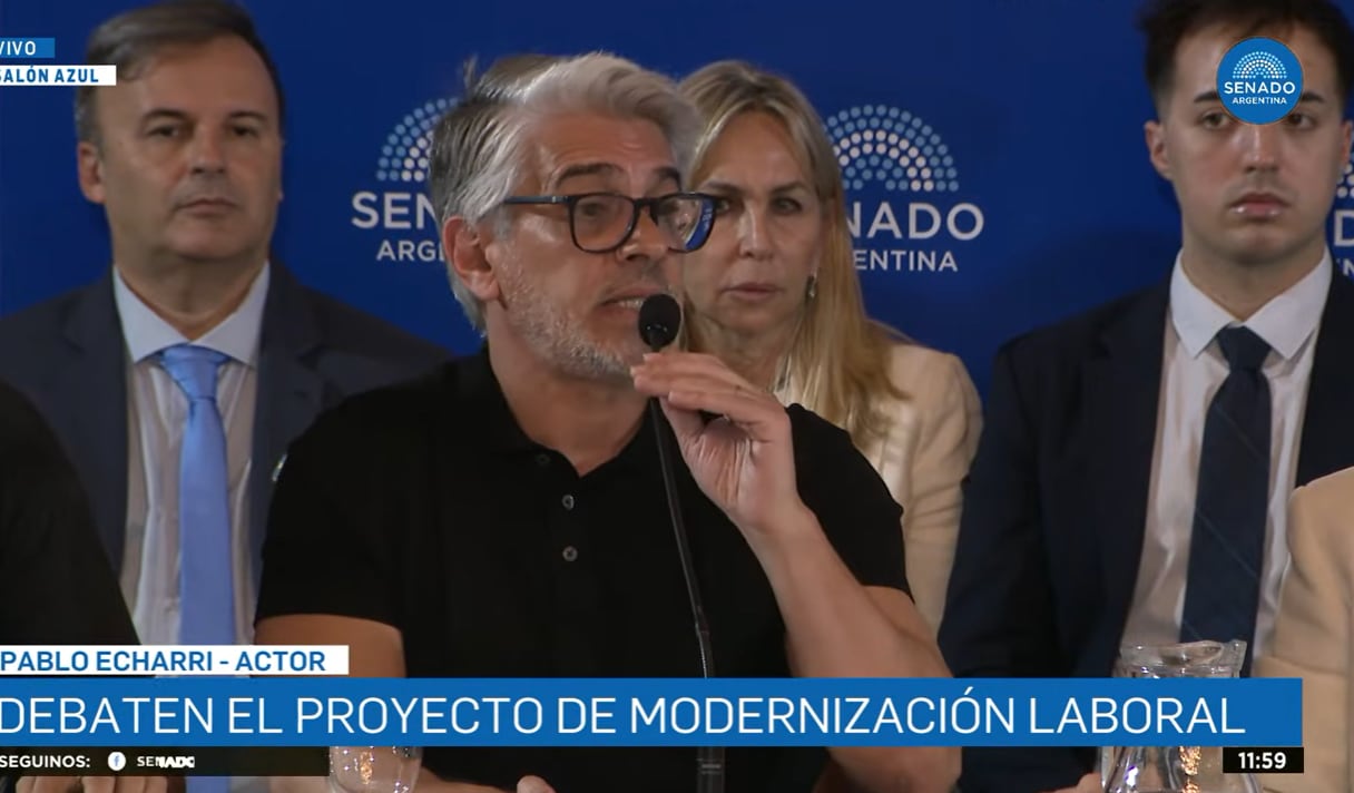 Pablo Echarri expuso en el Senado contra la reforma laboral y reclamó por la eliminación de tres artículos