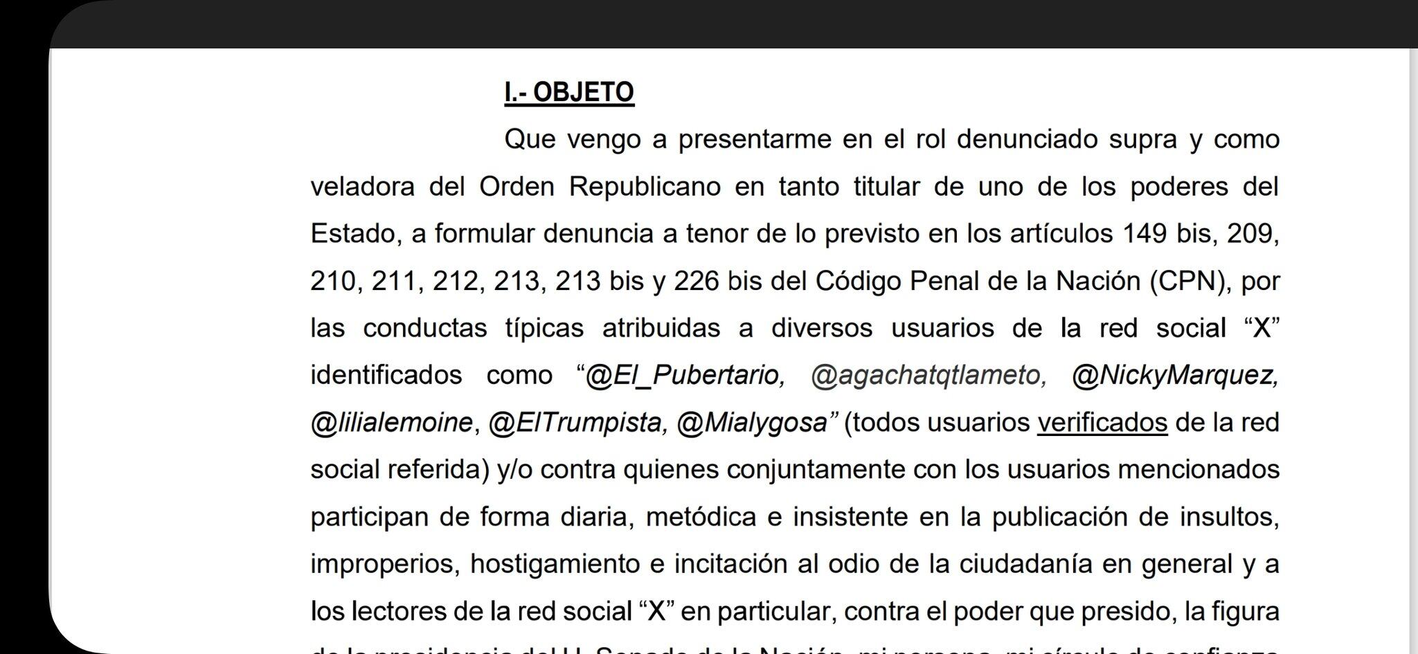 Fragmento de la denuncia, compartido por la diputada en la red social X
