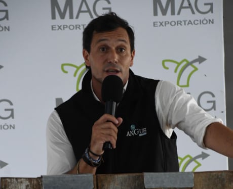 “La jornada mantuvo la misma dinámica que la primera edición: modalidad televisada, sin traslado físico de los animales, ventas por kilo gancho y retiro directo desde los establecimientos de origen, en cumplimiento con los estándares sanitarios exigidos por los mercados internacionales”, explicaron