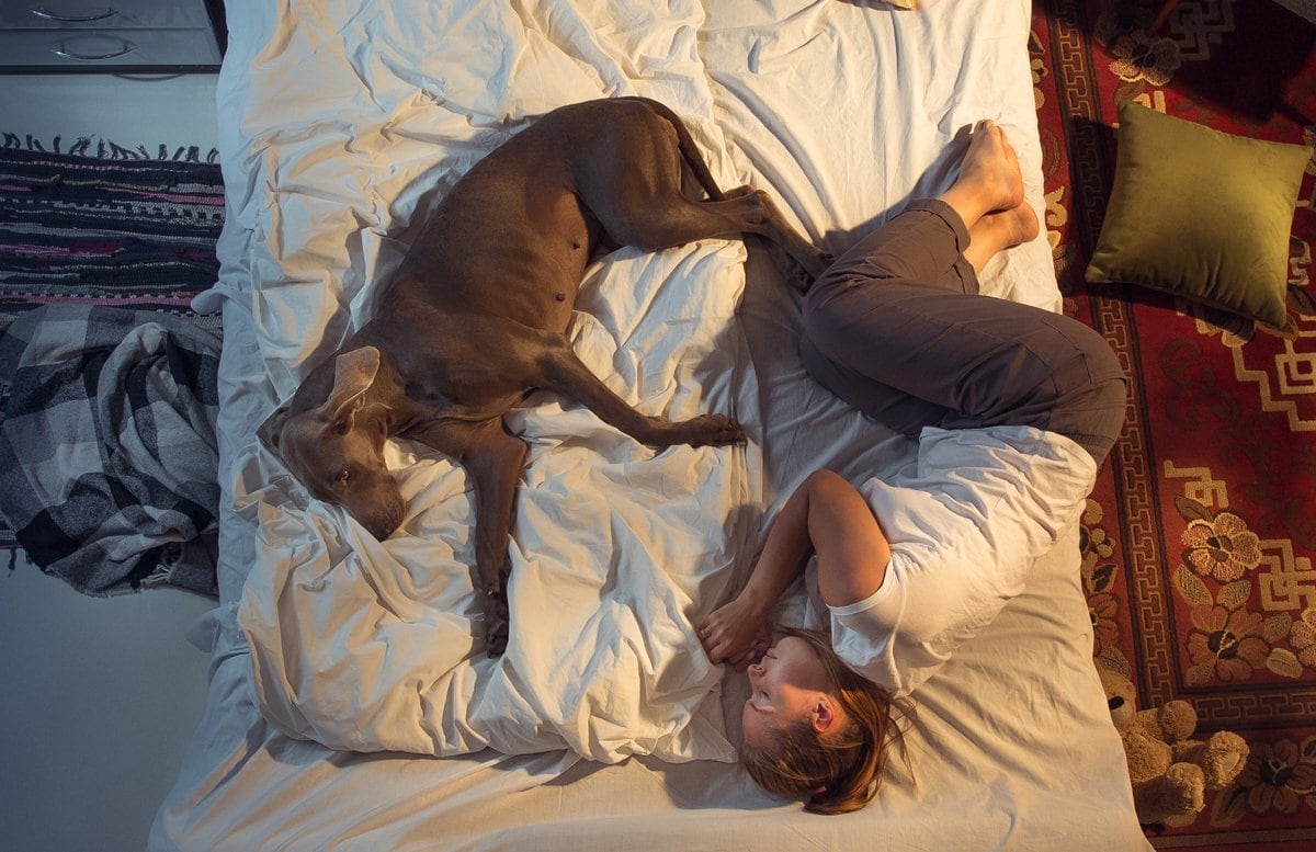 Hay evidencias a favor y evidencias en contra de dormir con mascotas... pero también depende de qué mascota