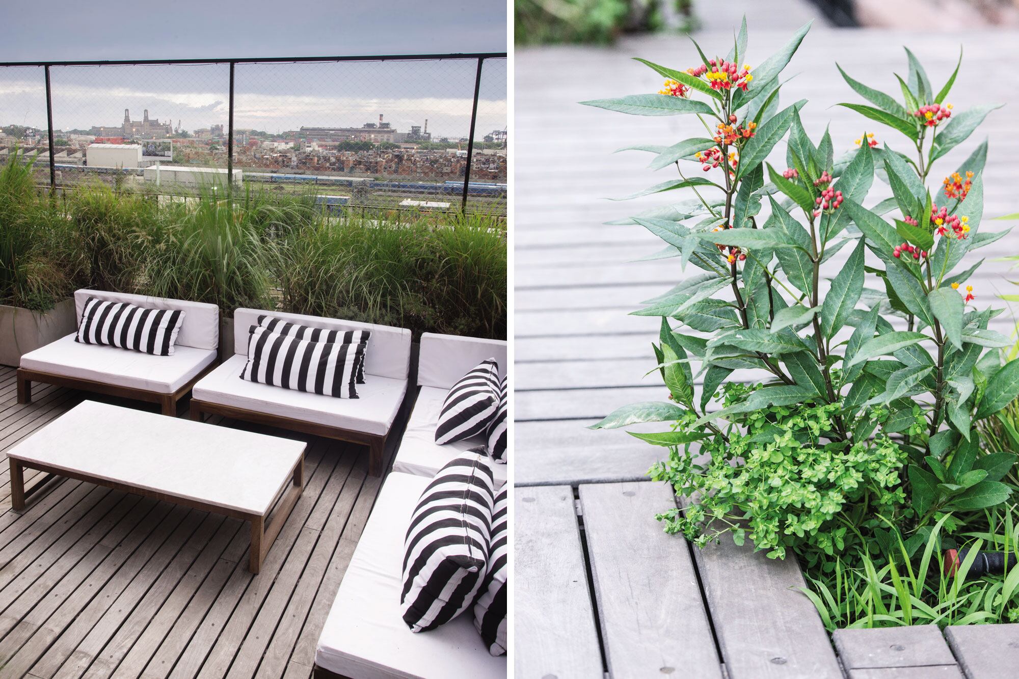Un juego de living de madera dura en “L” protagoniza uno de las esquinas de la terraza. Especies como Asclepia curasavica (derecha) componen un conjunto compuesto por plantas altas y silvestres