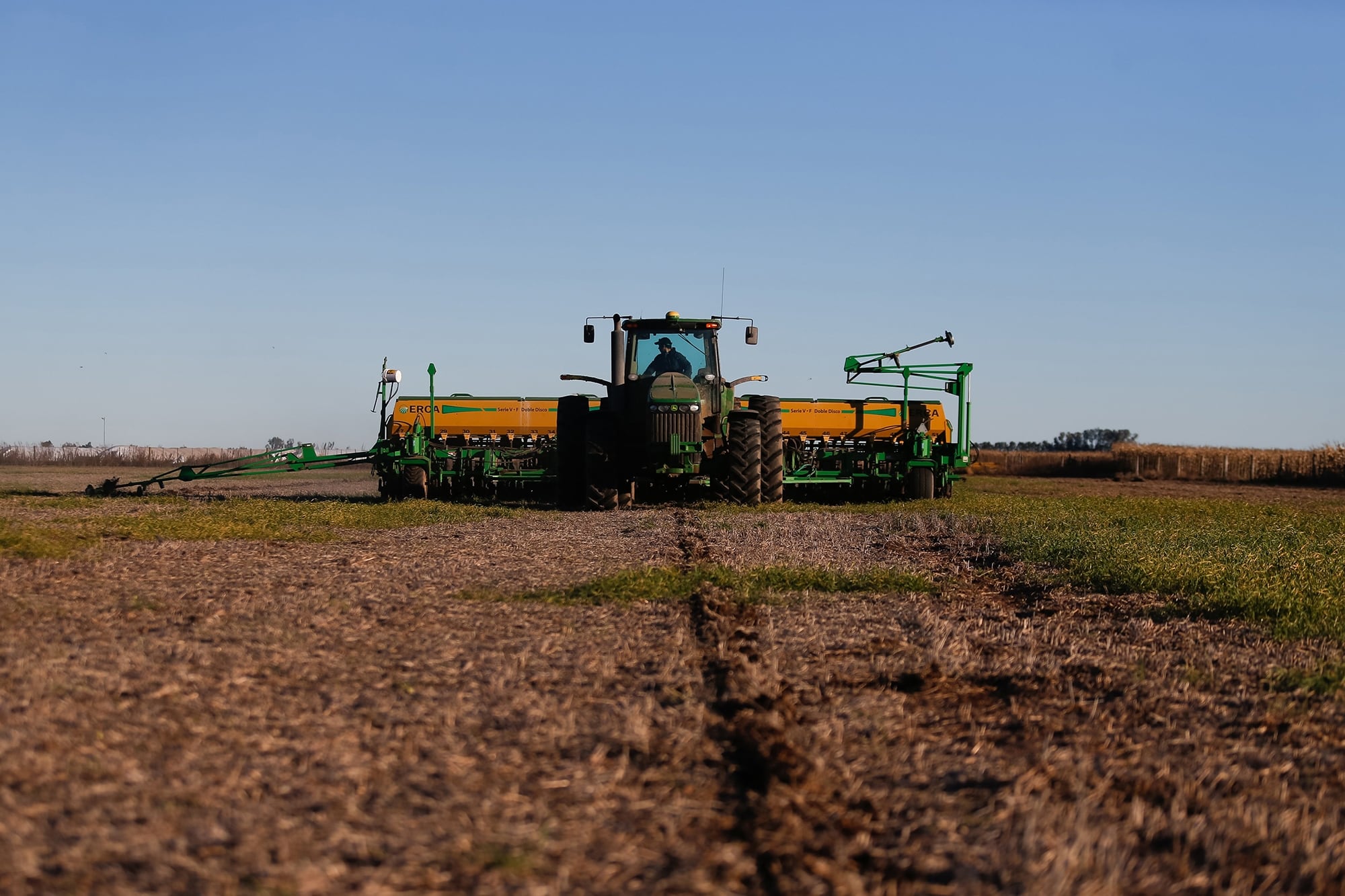 En trigo se sembró el 72,7% del área proyectada