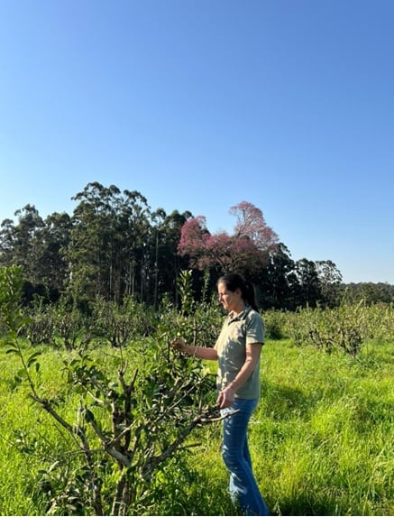 Quisieron tumbar un árbol para plantar yerba y terminó siendo la inspiración para su propia marca 9 Valeria Nahirñak, en sus yerbales