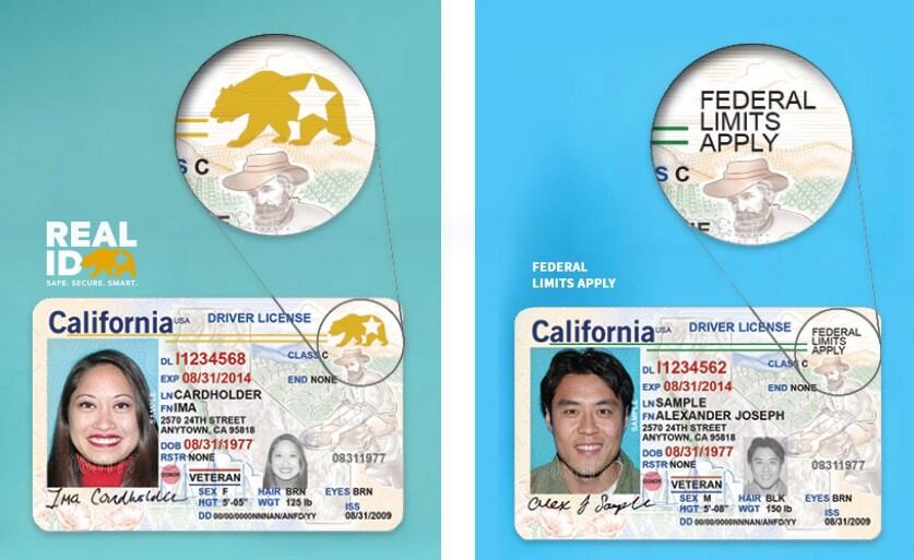 La Real ID de California tiene como distintivo un oso dorado con una estrella en la parte superior derecha