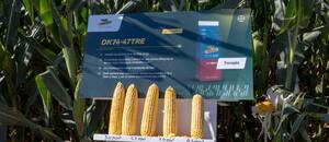 Un recorrido por las mejores soluciones para cada etapa del cultivo