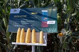 Un recorrido por las mejores soluciones para cada etapa del cultivo