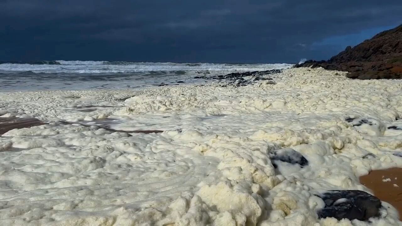 Esta imagen tomada de un video proporcionado por la Australian Broadcasting Corp. muestra espuma en la orilla de una playa el lunes 17 de marzo de 2025, en Waitpinga, cerca de Adelaida. (Australian Broadcasting Corp via AP)