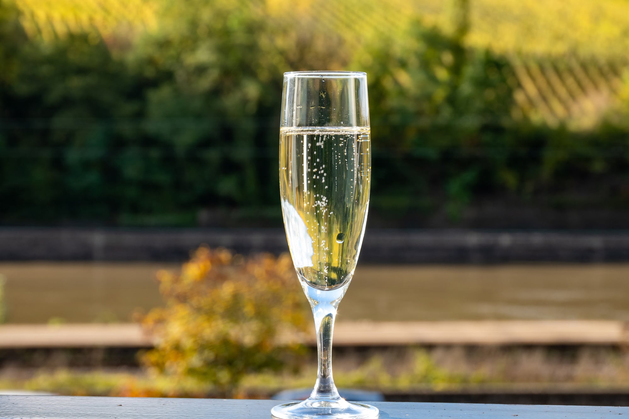 El champagne registró apenas un 1% de variación respecto a su valor del año pasado