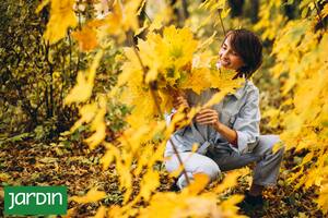 Cómo lograr un jardín otoñal bien diseñado