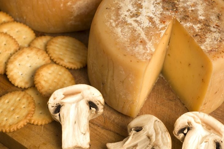“En esta zona, con 10,5 litros de leche de Jersey se puede producir un kilo de queso versus los 14-15 litros que se necesitan con la leche de Holando”, dicen en la firma