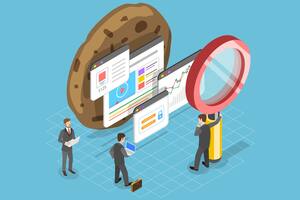 Un salto para la privacidad, un desafío para el cerebro tortuga