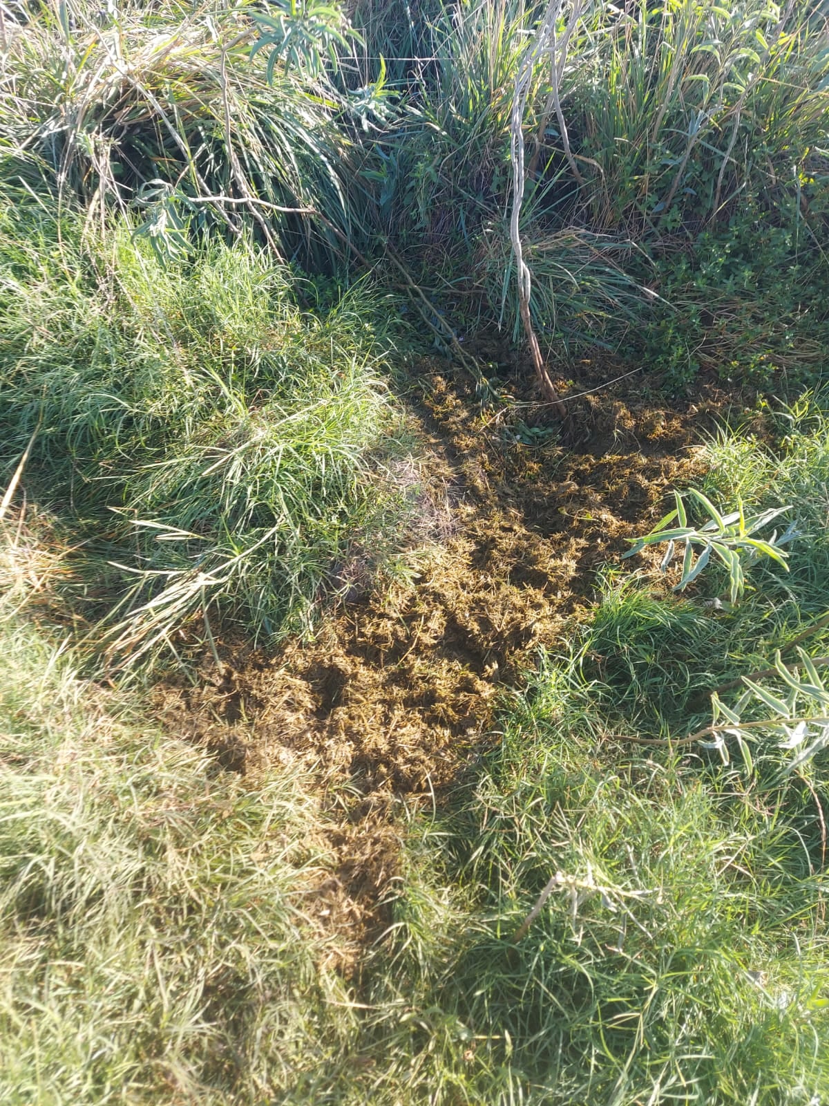 Los productores se encuentran con las escenas al día siguiente
