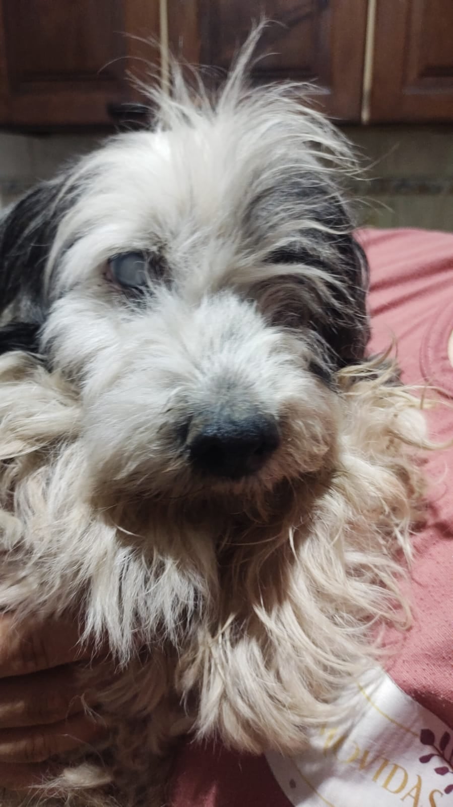 Lázaro fue a la peluquería para un cambio de look.