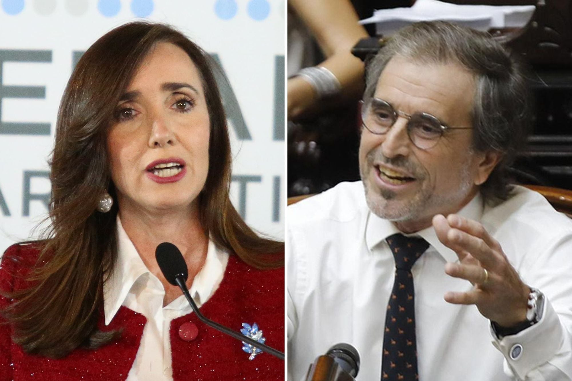 Victoria Villarruel apuntó contra el diputado de La Libertad Avanza Alberto Benegas Lynch