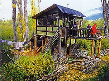 “Una catástrofe para la cordillera”. Quién es el histórico ambientalista que perdió su casa por el avance del fuego