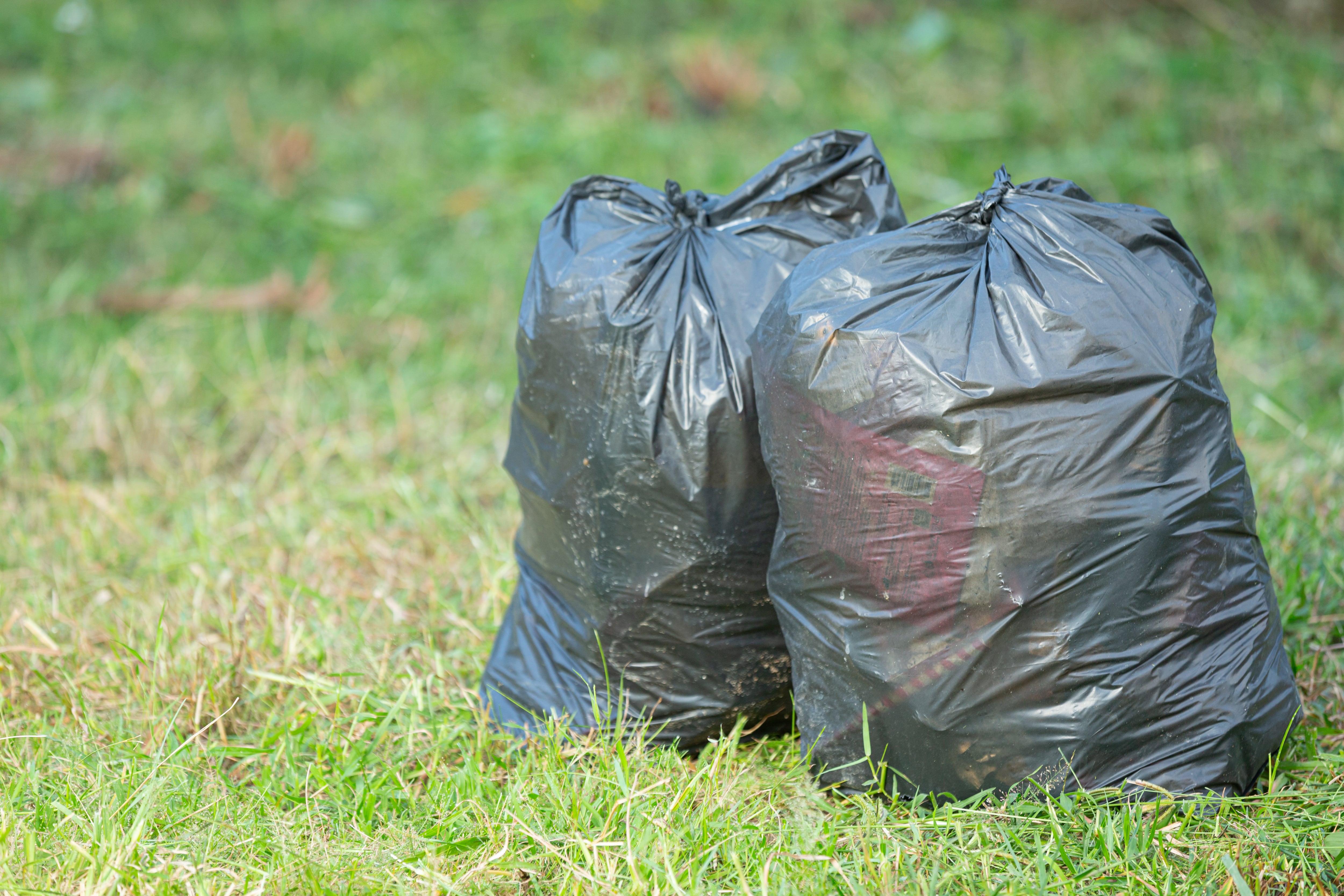 Los operativos incluyen el retiro de asentamientos, la recolección de basura y escombros, el control de la vegetación y la eliminación de grafitis