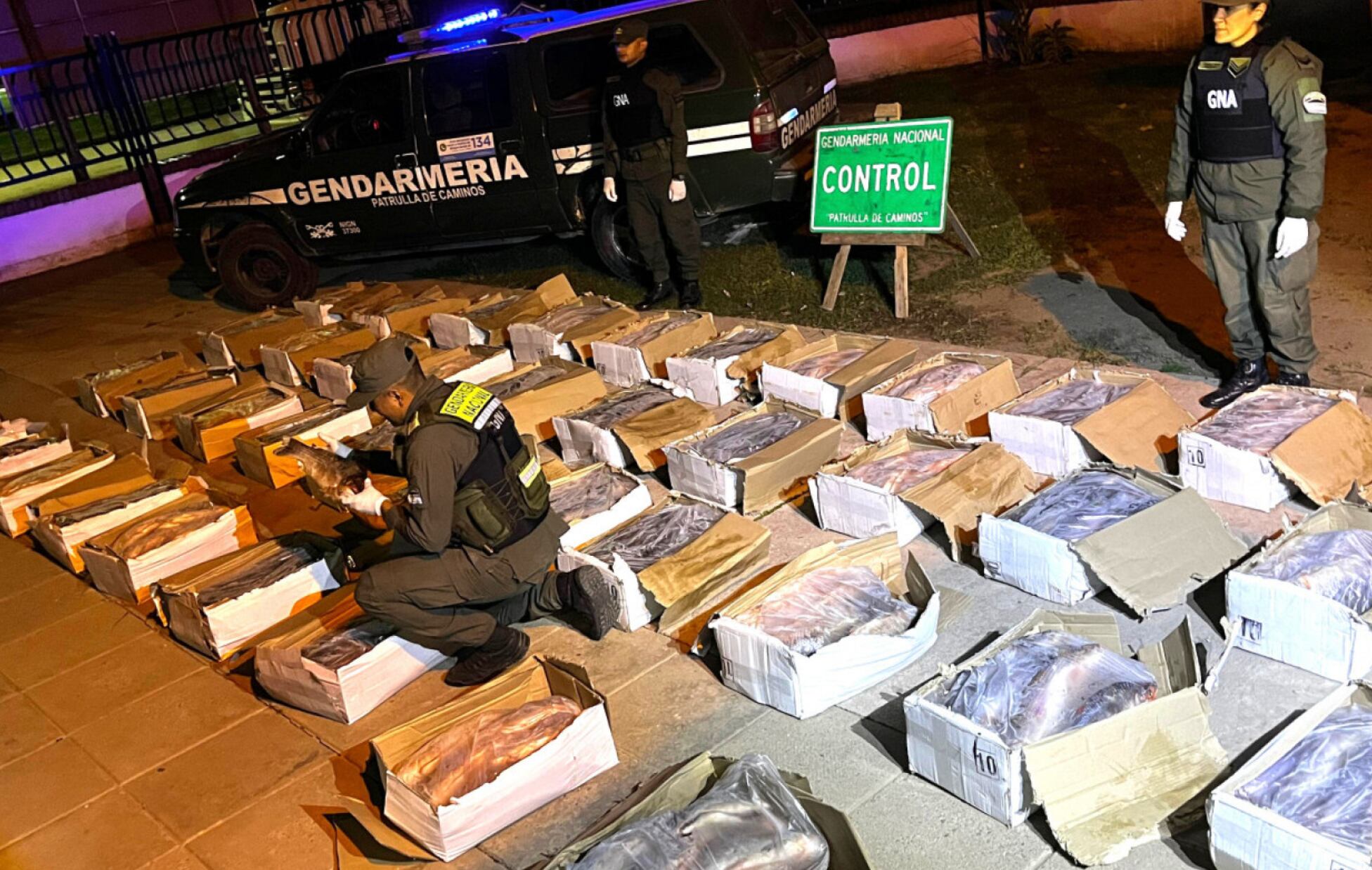 Córdoba: Decomisan Millonaria Carga de Pescado Por Falta de Refrigeración