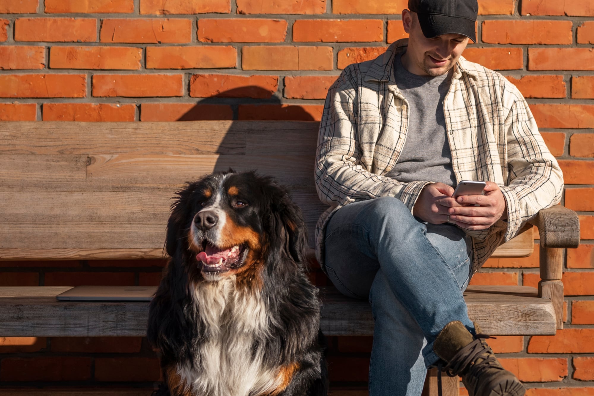 El proyecto define qué animales califican como mascotas domésticas