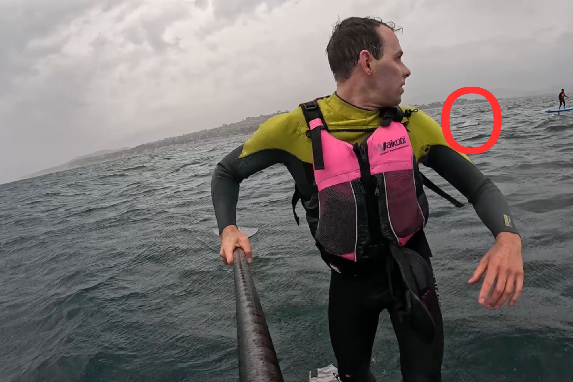 En el video, se puede observar al tiburón blanco mientras sigue de cerca a uno de los surfers