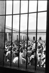 Una historia de exterminio: el Hospital Colônia de Brasil, donde murieron 60.000 personas por frío, hambre y enfermedades 10 El hospital se fortalecía con la idea de la limpieza social (Foto: Luiz Alfredo)