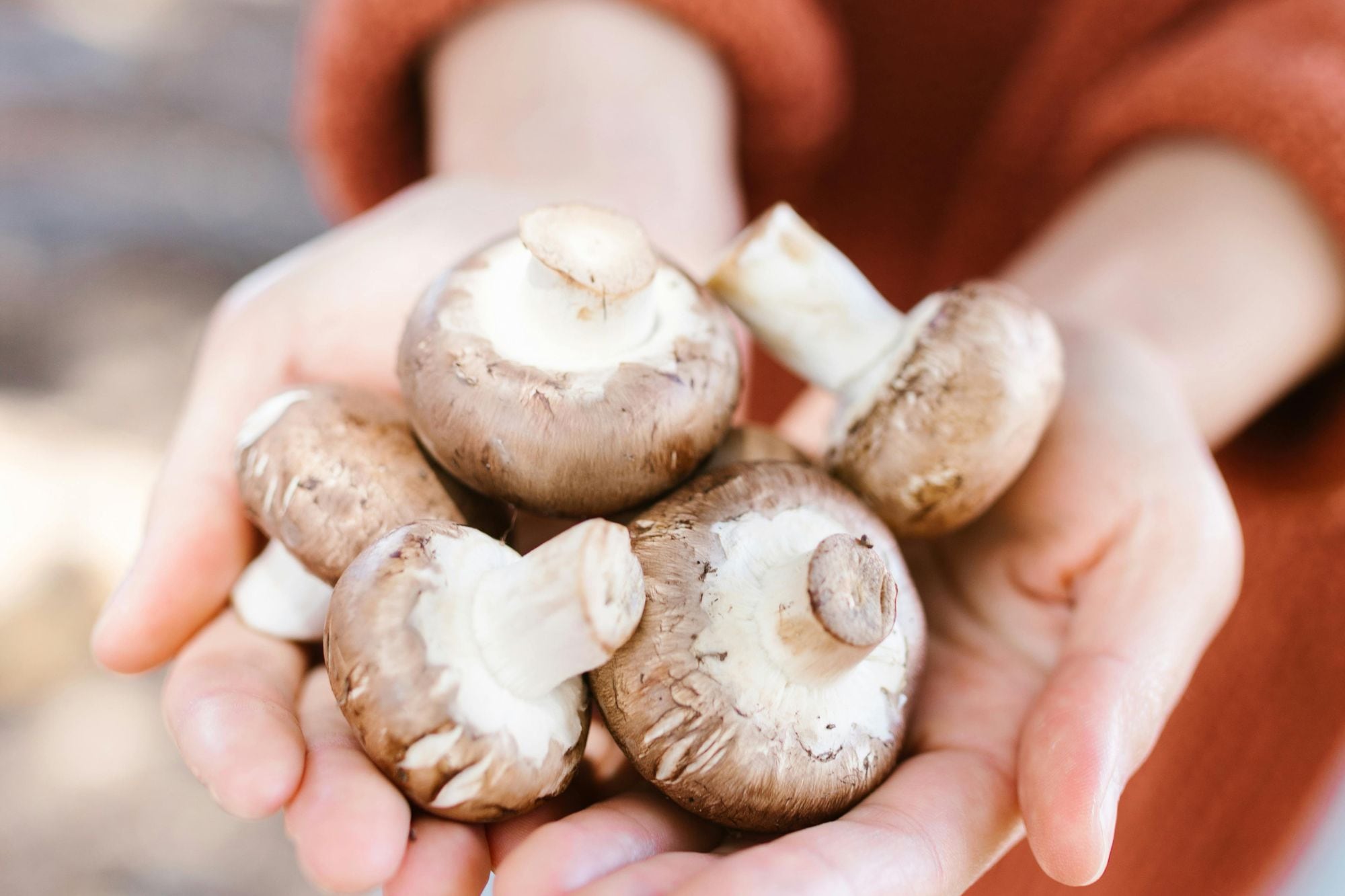 Cuáles son los alimentos con mayor vitamina D y por qué resulta esencial para cuidar los huesos