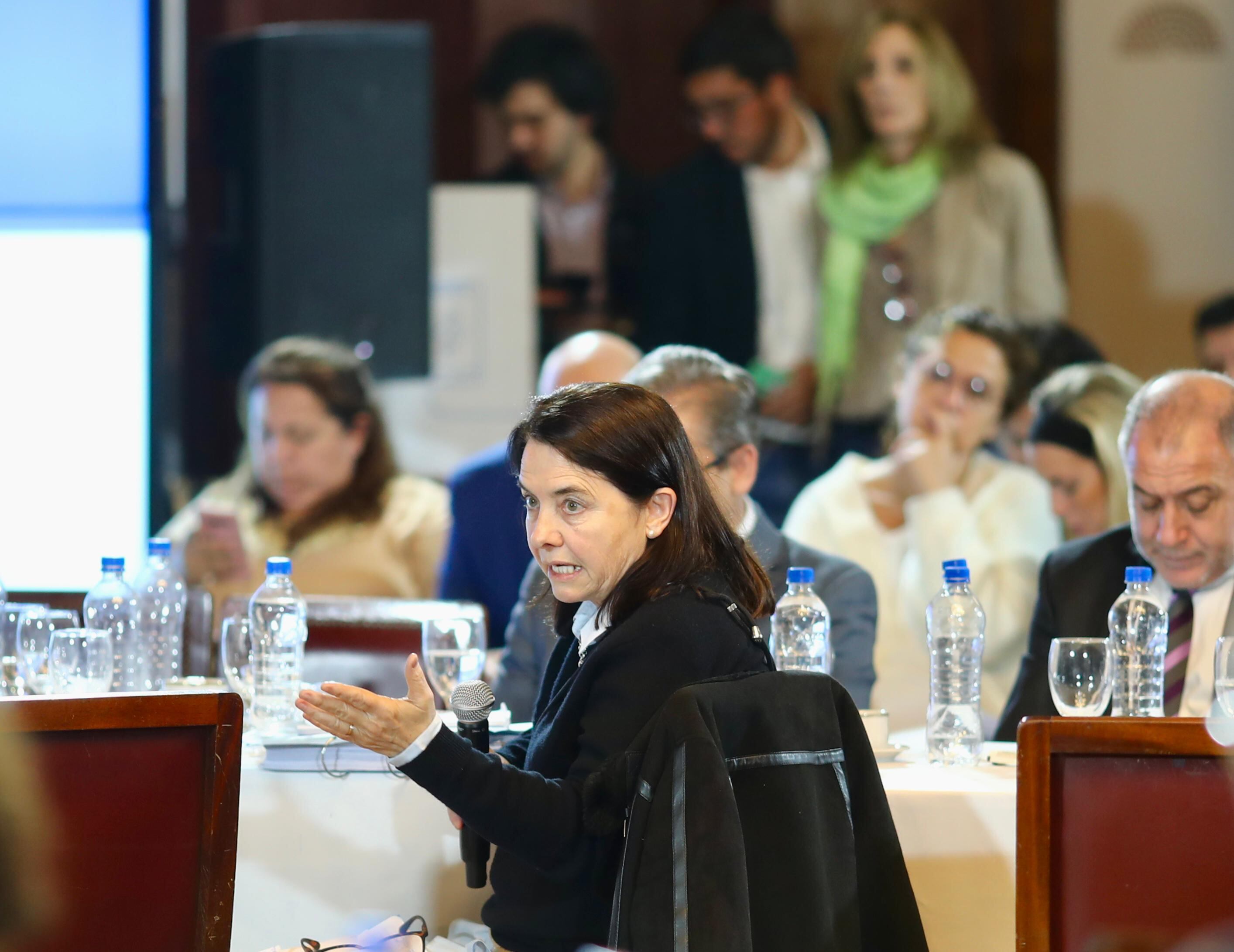 La senadora Carmen Álvarez Rivero en el debate en comisión del Senado por Presupuesto y Hacienda