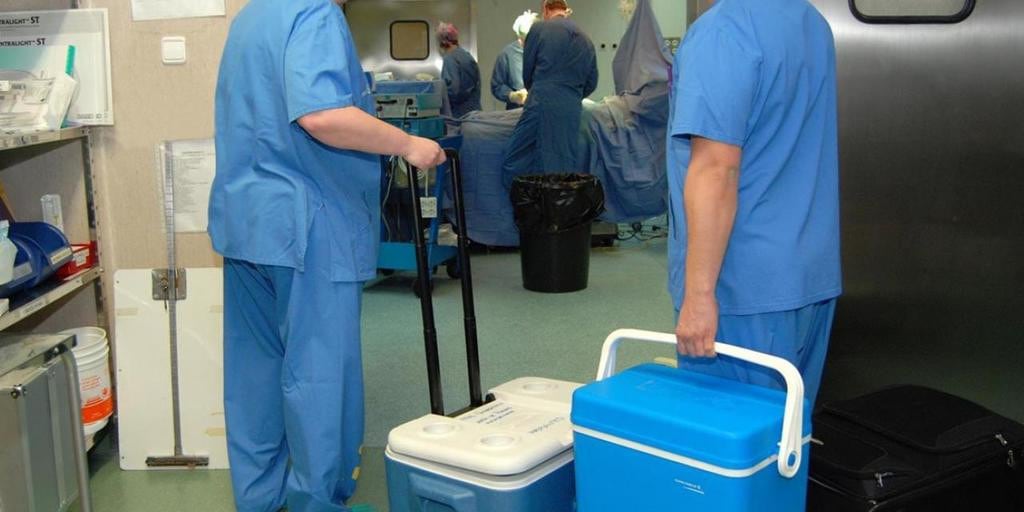 CAR-T: de terapia contra el cáncer a herramienta clave para hacer viables trasplantes en pacientes sin opciones