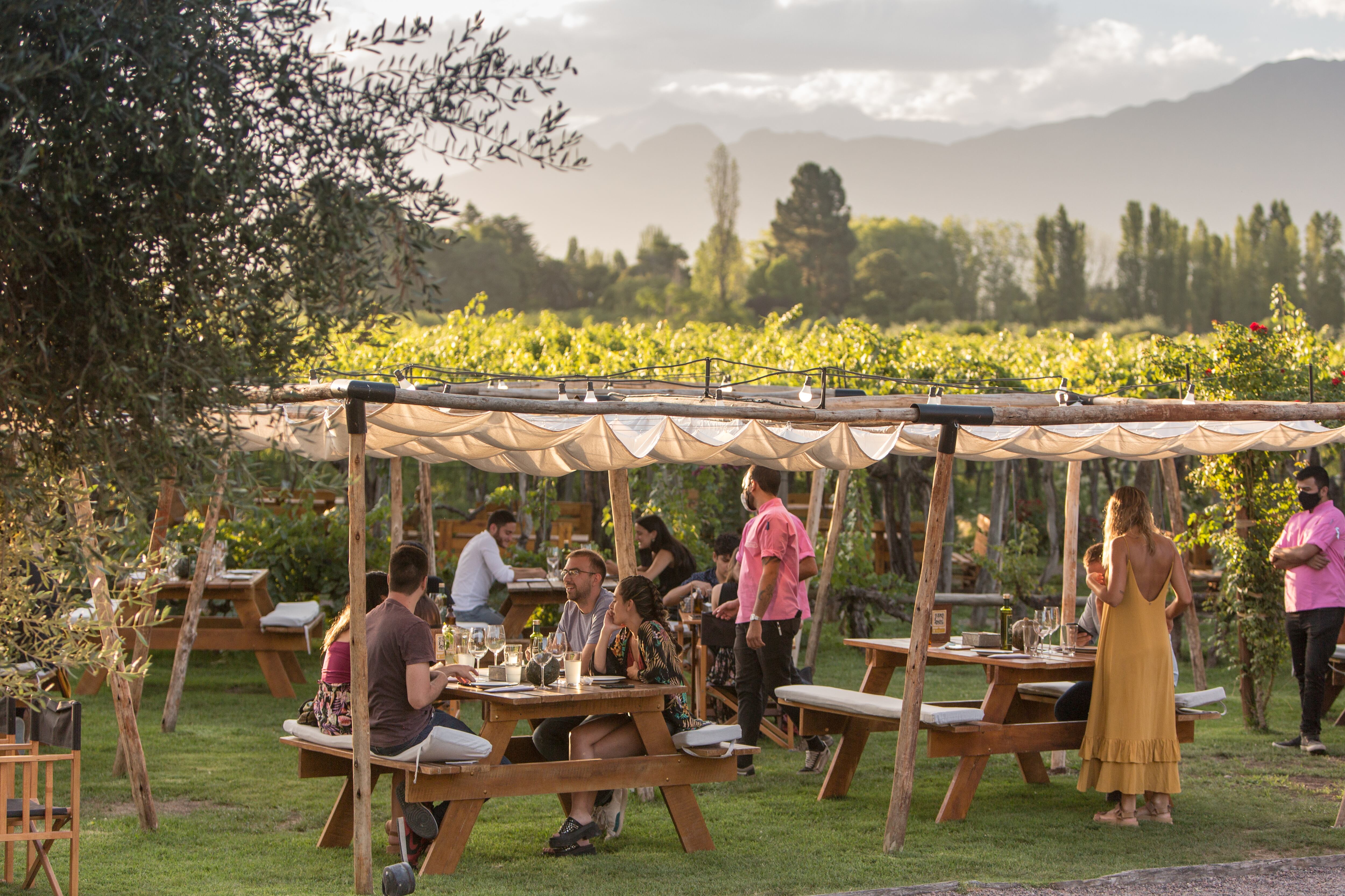 Picnic y atardecer en el viñedo de Kaiken Wines, el escenario ideal de Ramos Generales.