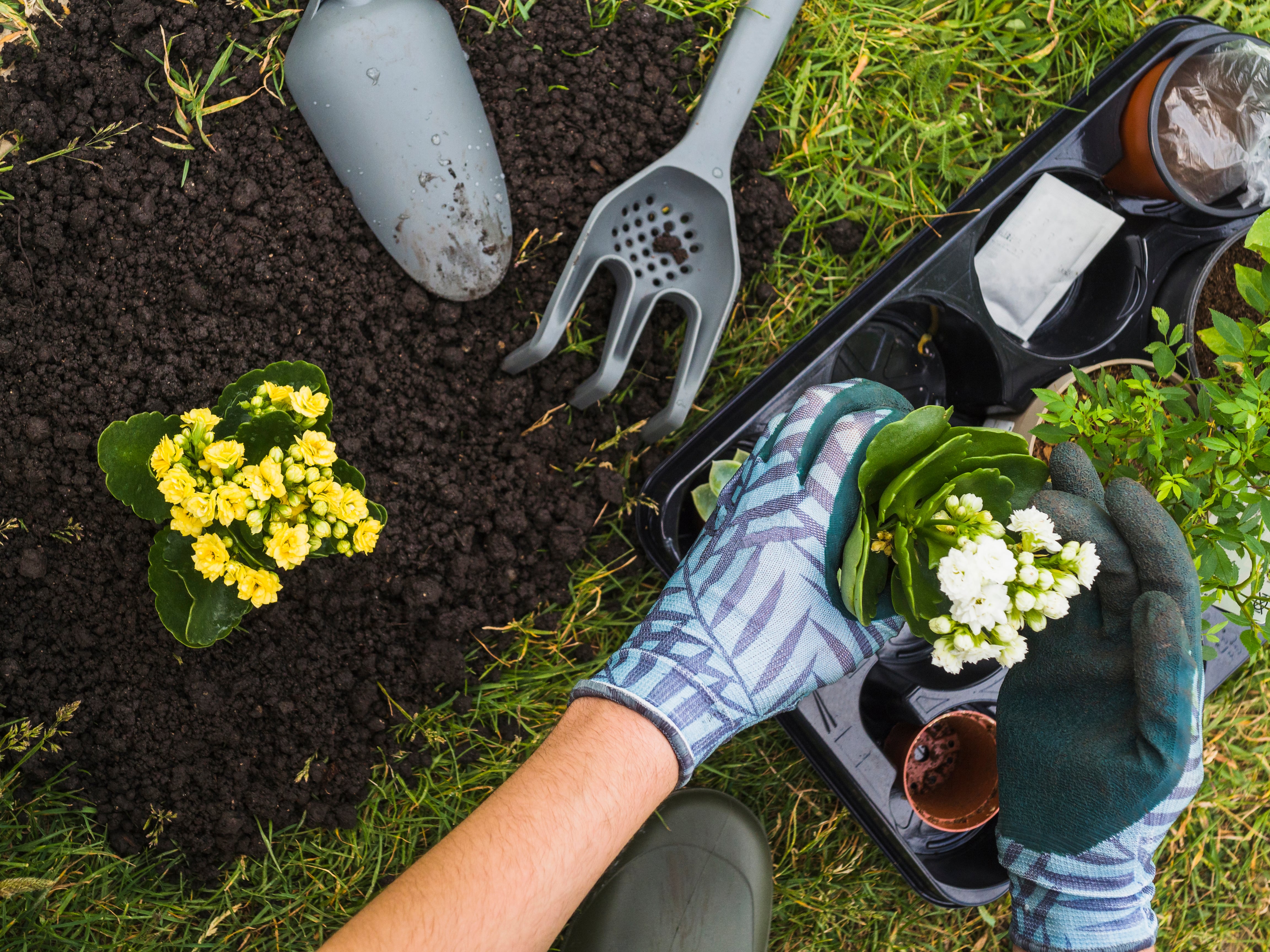 Llega la primera JARDÍN Week, una semana dedicada a los amantes de las plantas, llena de descuentos especiales