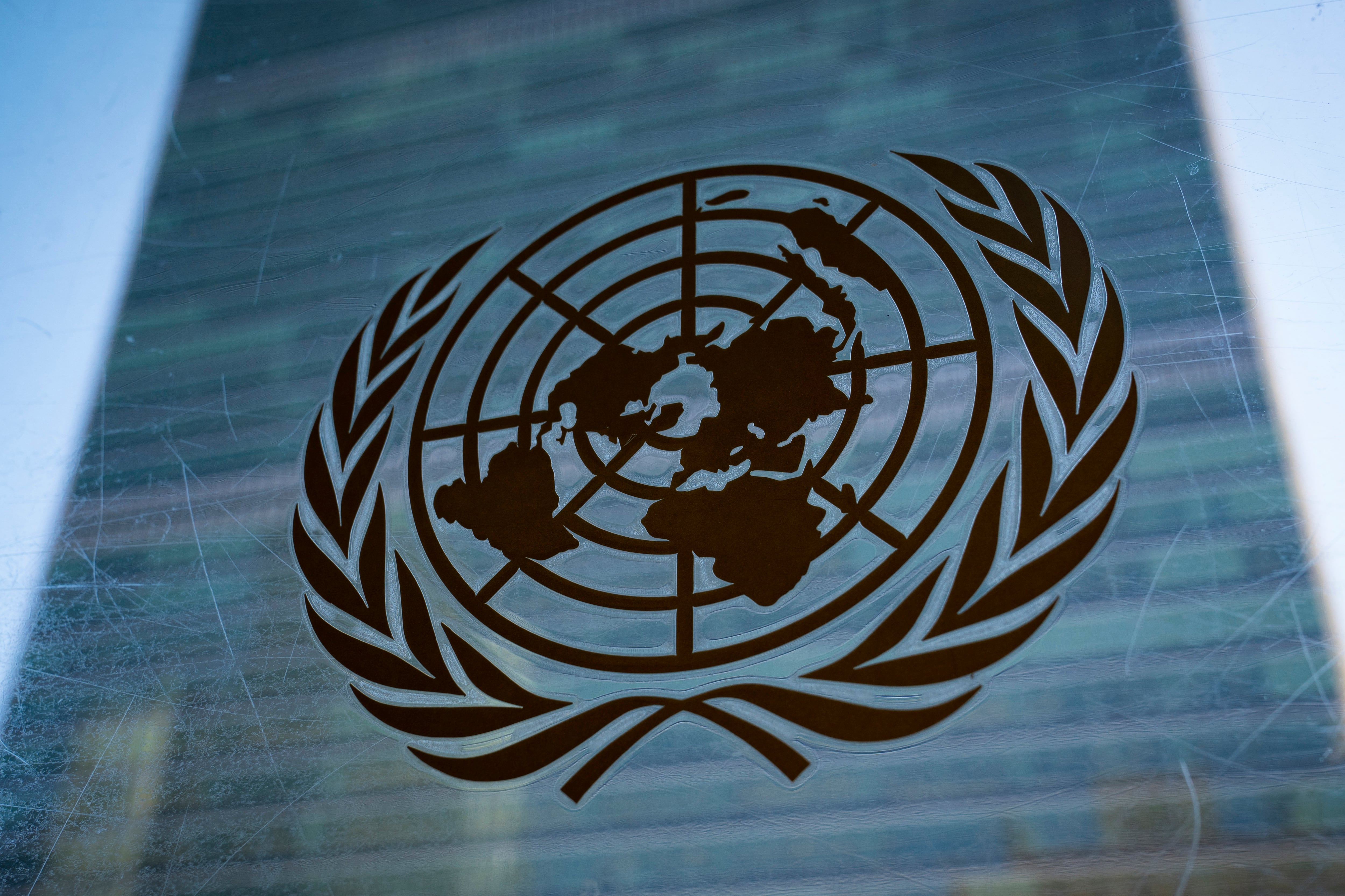 Hoy se recuerda la Declaración Universal de los Derechos Humanos (DUDH), establecida por la Asamblea General de la Organización de las Naciones Unidas
