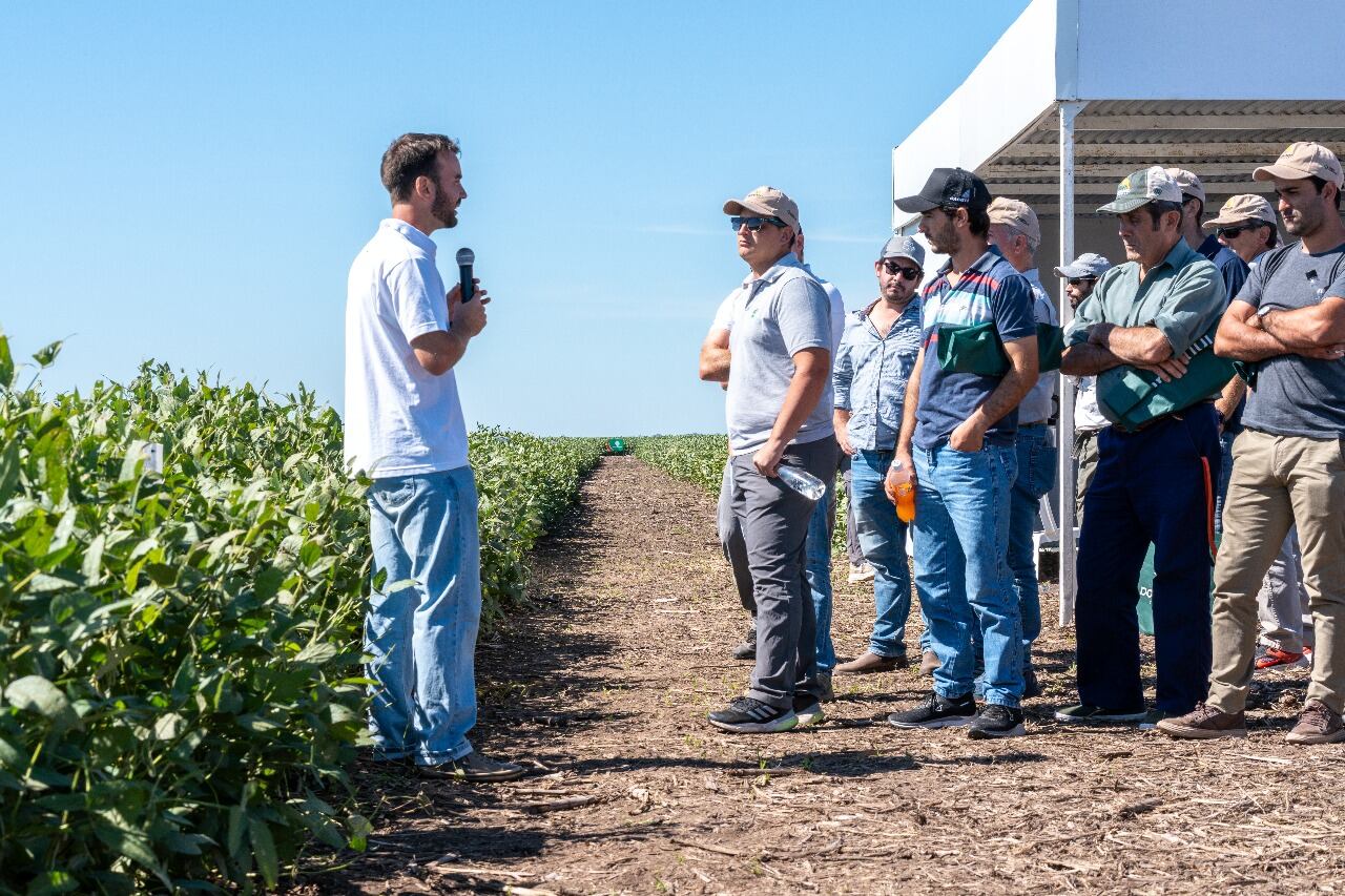La empresa es referente en soja y buscar un mayor crecimiento en maíz