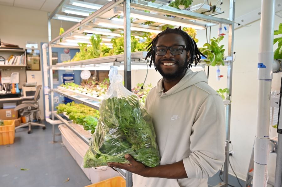 En las despensas suelen distribuir alimentos y productos de la canasta básica (Web/Greater Chicago Food Depository)