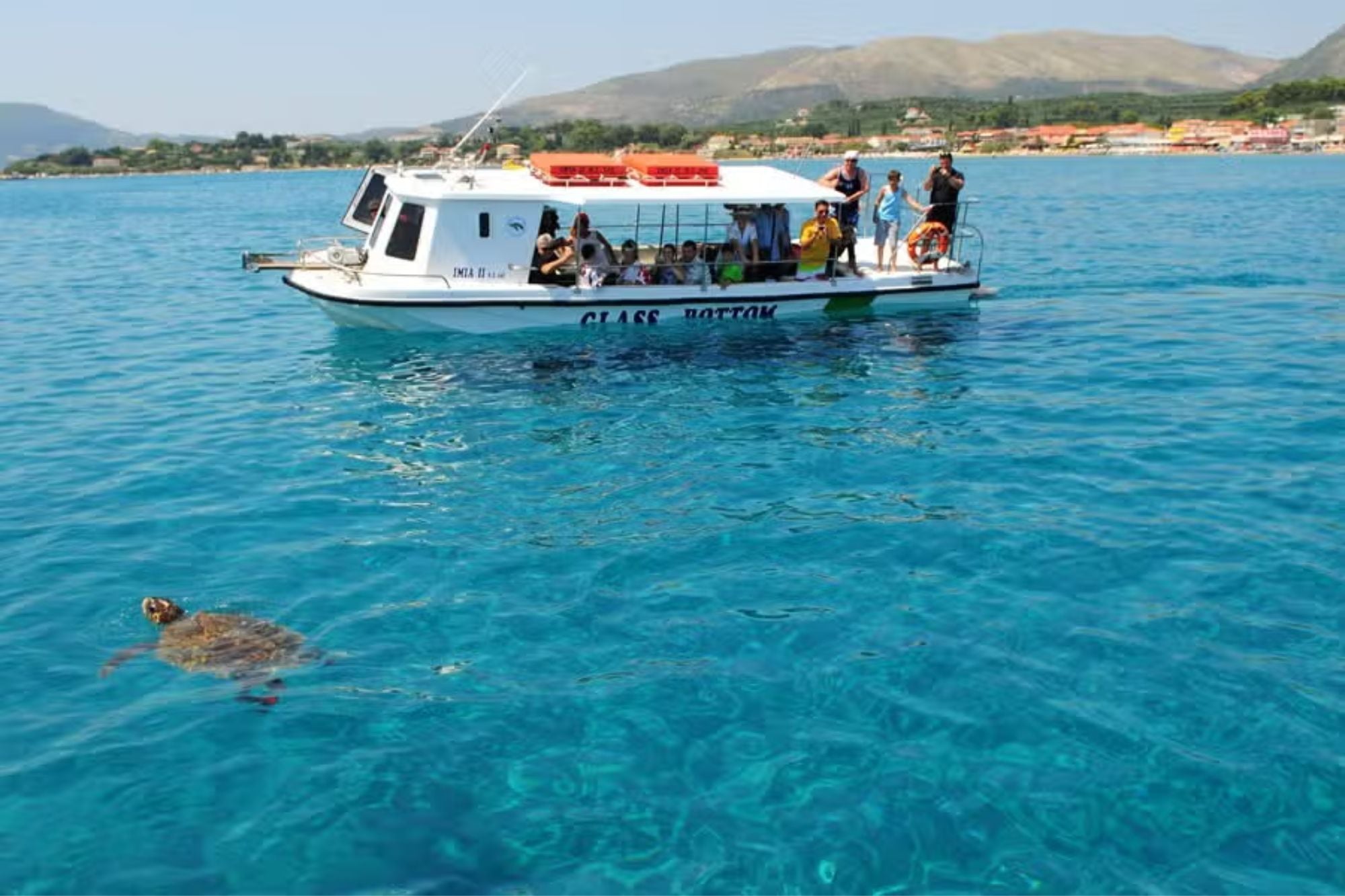 Las distintas playas de Zante ofrecen la posibilidad de observar tortugas mediante paseos en barco