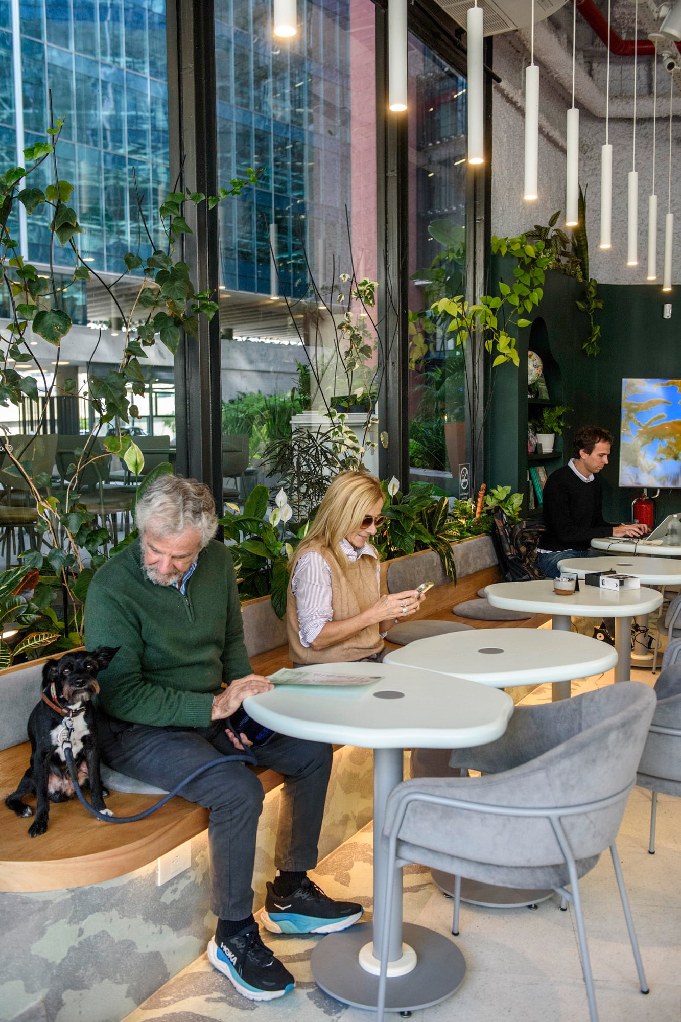 Botanicafé es un lugar pet friendly